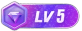 LV5 等级-LV5-天天资源共享